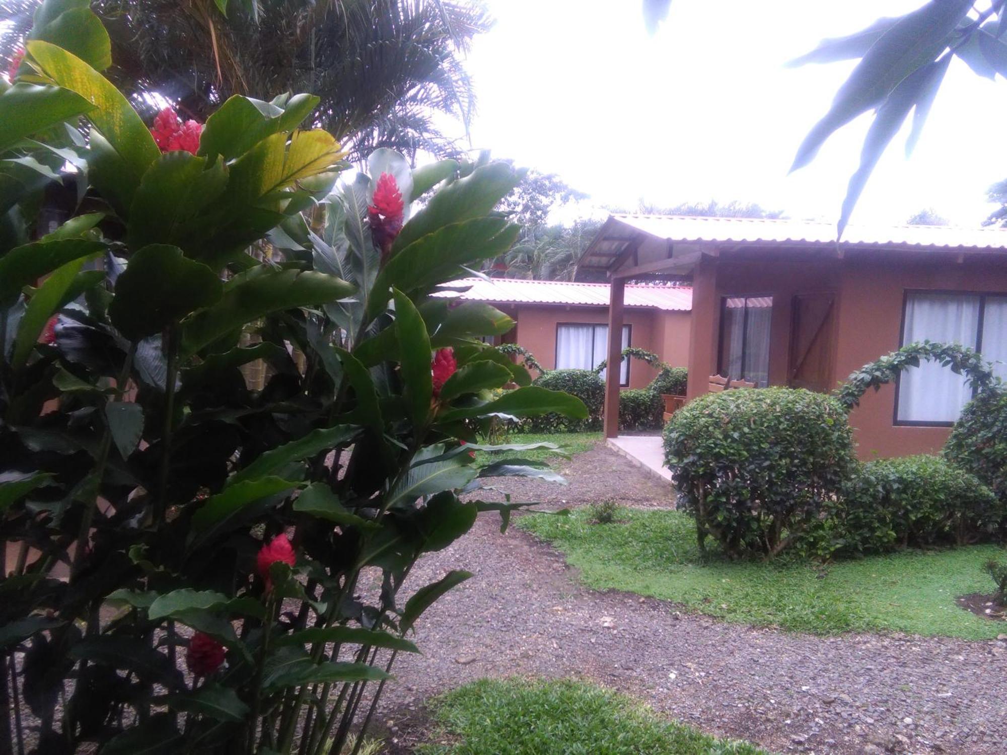 Slow Travel Lodge Upala Buitenkant foto